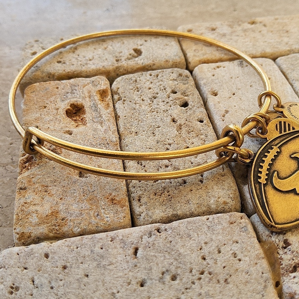 Alex and Ani gold NFL Houston Texans bracelet with charms - Picture 5 of 5
